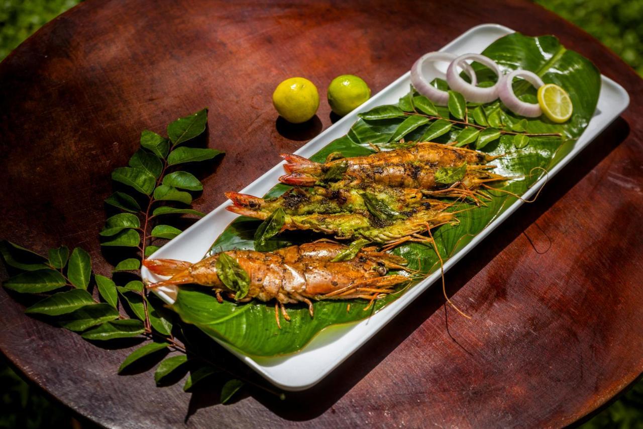 Sterling Vythiri Wayanad Hotel Екстериор снимка